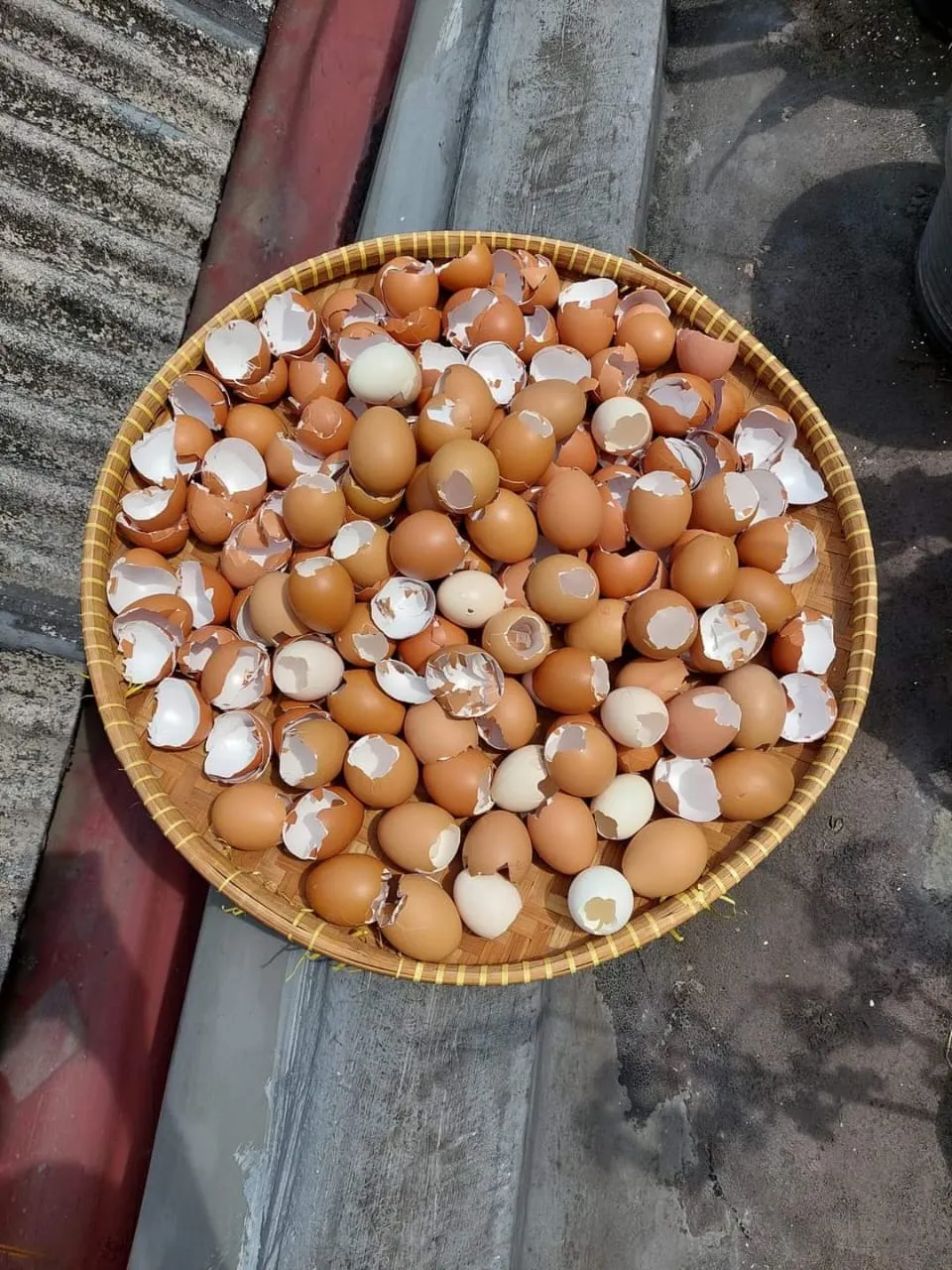Proses Produksi 6