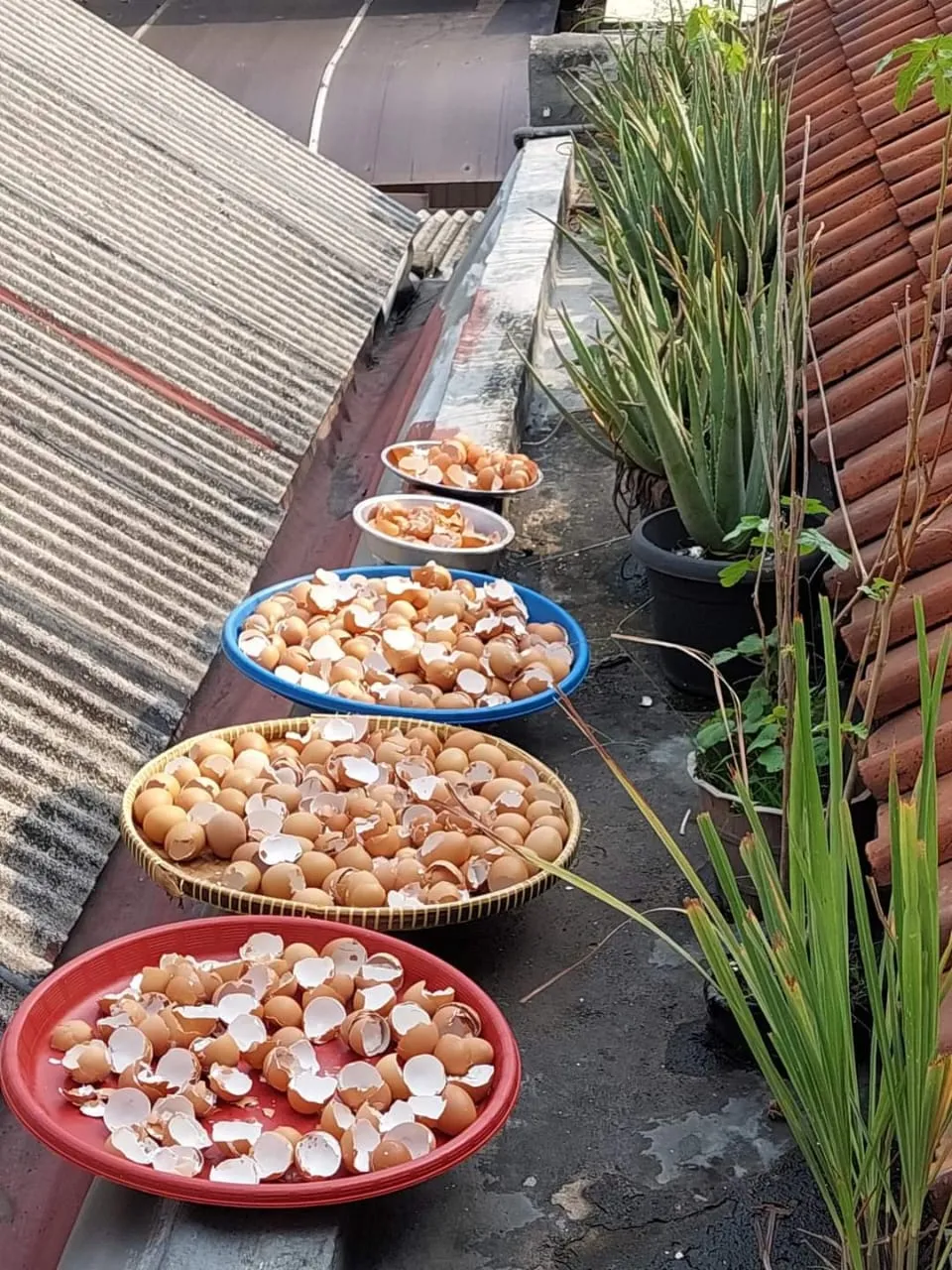 Proses Produksi 7